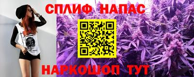 гидра Нальчик