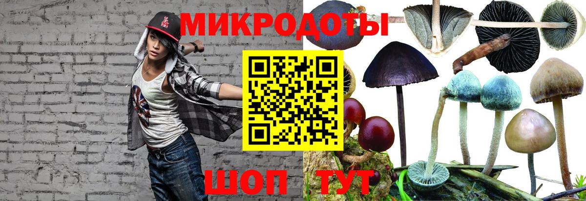 Псилоцибиновые грибы GOLDEN TEACHER Трёхгорный